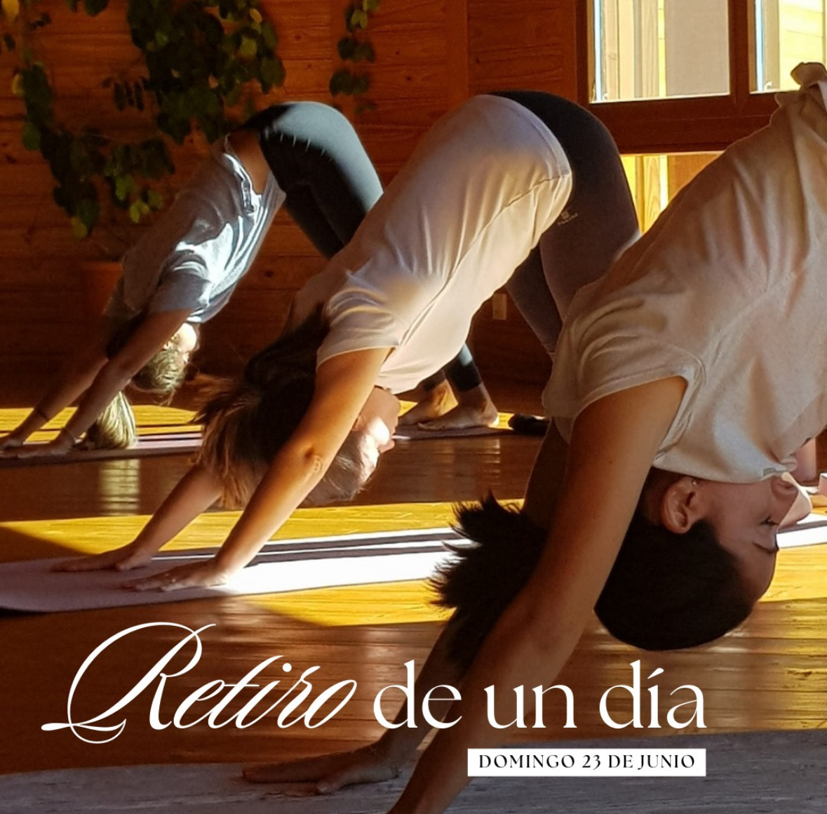 Yoga Day -Eventos Yoga Valencia
